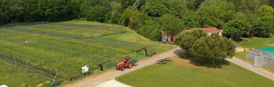 parc escargots royer