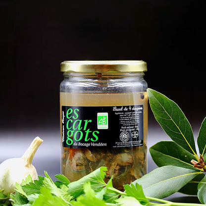 Bocal escargot 4 douzaines