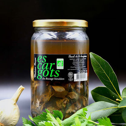 Bocal escargot 6 douzaines